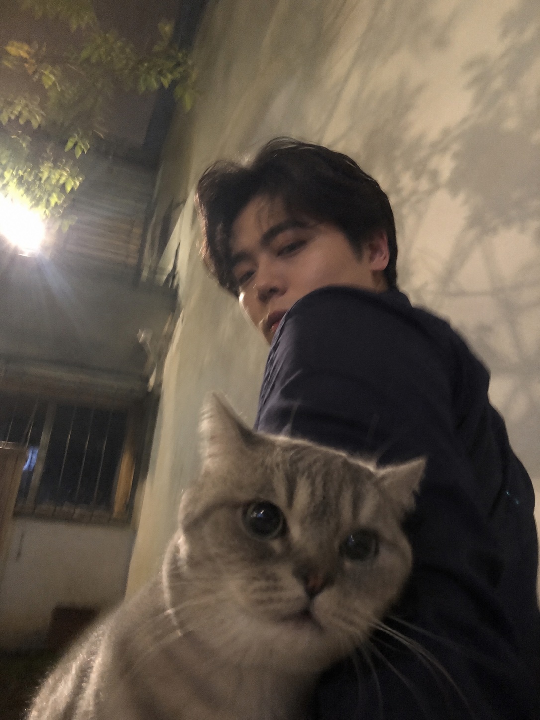 与猫咪的夜晚照片